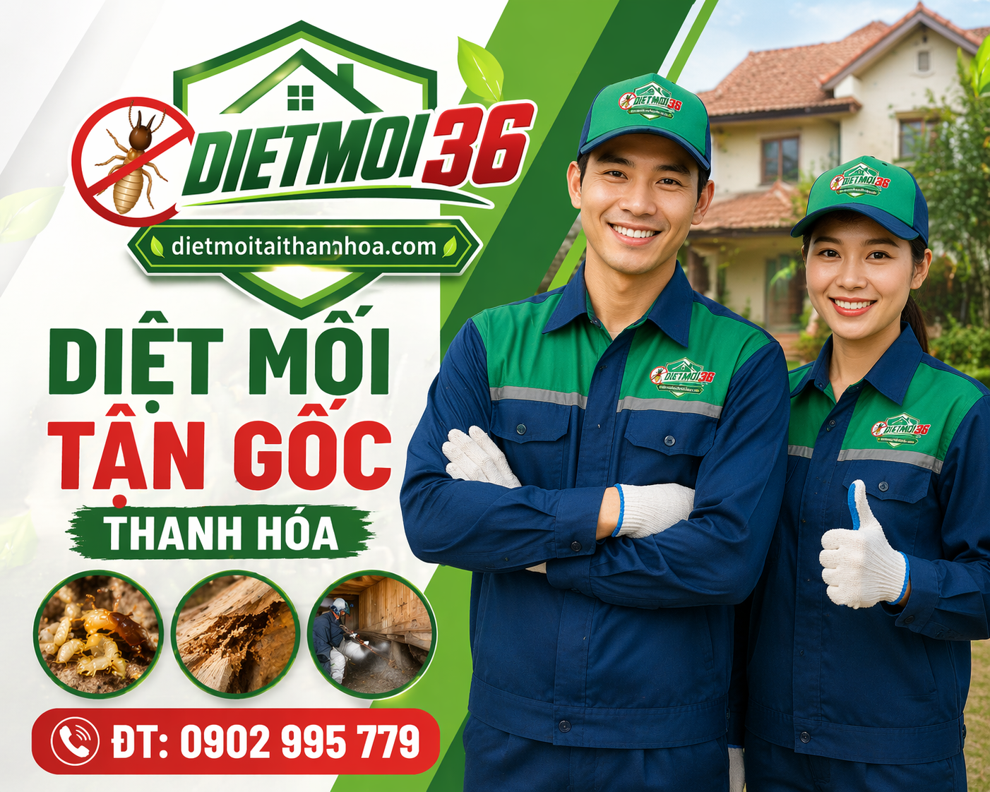 Diệt mối tận gốc Thanh Hóa